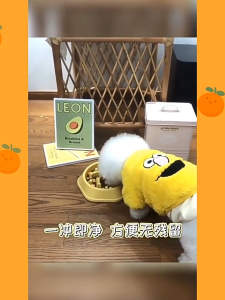 ชามอาหารสัตว์เลี้ยง ชามข้าวสุนัขฝึกกินช้า ชามกินช้าชามอาหารแมวชามอาหารฝึกให้ทานช้าลงชามช่วยลดการสำลัก