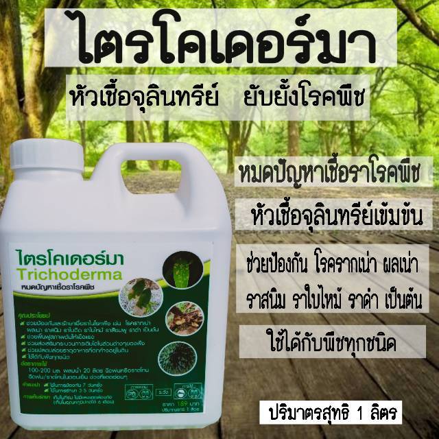 ไตรโคเดอร์มา ชนิดน้ำ เข้มข้น กำจัดเชื้อราในพืช