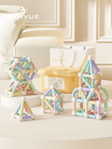 CENVUE | Educational Magnetic Building Set