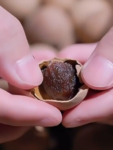 Loherbs 桂圆干/ 龙眼干 带壳 Dried Whole Longan with Shell 桂圆粒 Longan Kering
