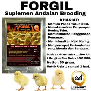 Vitamin Ayam - FORGIL - Suplemen Brooding Ayam Broiler - Vitamin Ayam Broiler - Obat Ayam - Vitamin Brooding
