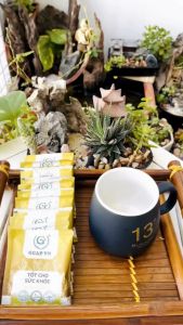 3 hộp Trà rong biển túi lọc GCAP VN - mỗi hộp 40 gram gồm 20 gói 2 gram - tốt cho sức khoẻ