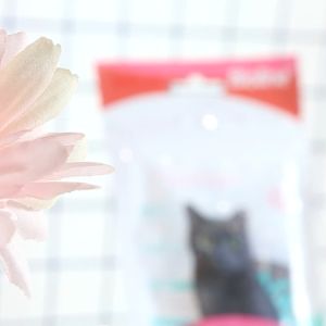 BIOLINE 5pcs/Pack Cat Catnip Dental Sticks Cat Treats