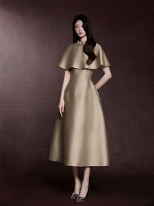 Elegant French Dress