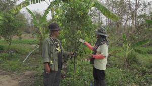 RD2551 (3 ขวด) โปรตีนอะมิโน สารเพิ่มคุณภาพและผลผลิตสกัดจากวัตถุดิบธรรมชาติ ปลอดสารพิษ