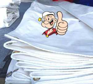 terpal plastik a3 terpal tenda ukuran 2x9 . 2x10 . 2x12 . 4x8  BAHAN SEDANG A8