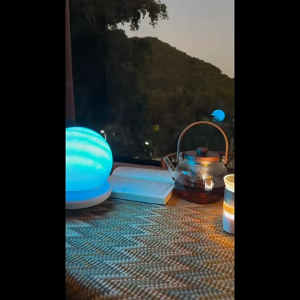 16 Colors RGB Star Lamp Remote Control Kids Bedroom Night LightDimmable Plug-in/Rechargeable