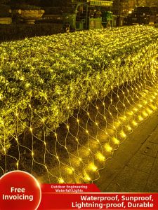 ANQIYUE | Waterproof LED Solar String Lights for Outdoor Decoration