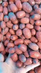 Táo đỏ nguyên bụi 100% khô tự nhiên loại thượng hạng - mùi vị nguyên bản 500g/túi