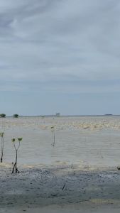 Bogaboo topi mancing masker Jepang Microfibre quickdry - topi mancing anti panas - topi pancing anti UV - topi gunung