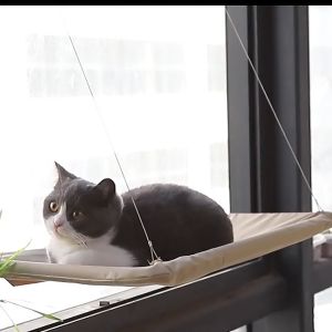 Võng Treo Giường Ngủ Gắn Cửa Sổ Cho Mèo Nằm Chơi Và Thư Giãn SKU_VT001