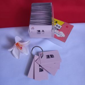 FUJICARD Flashcard bahasa Jepang kanji N4 N5 N3 basic JLPT/JFT