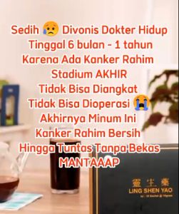 Ling Shen Yao Serbuk Untuk Kista Miom Endometriosis Kanker Tumor Diabetes Asam Urat Ambeien