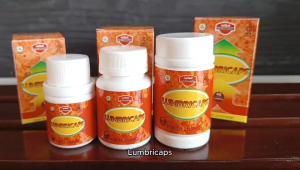 Kapsul Lumbricaps Kapsul Ekstrak Cacing 12 kapsul dari Ath Thoifah