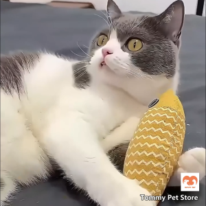 Pet Fish Catnip Toy Catnip Cat Toy Linen Fish Cat Pillow Cat Accessories