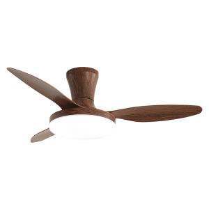 DGY | Full Spectrum Ceiling Fan and Light Integration