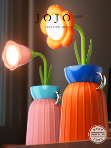 Mini Desk Lamp PD.String Student Home Dormitory Office Night Light Transvestite Button Control Low Voltage Non-smart 2W
