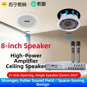 Sony Ericsson Wireless Bluetooth Ceiling Speaker Integrated Living Room Home Business Store Ceiling Broadcast 310 Virtual Surround Sound