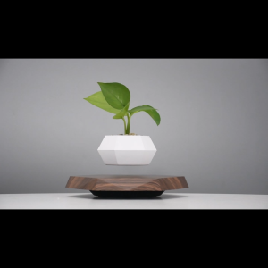 Floating Plant Pot Succulents Air Bonsai Home Office Desk Decor Magnetic Levitating Rotating Display
