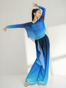 LEAF DANCE | Áo Tập Nhảy Đương Đại và Hiện Đại Dày Tay Dài Phom Rộng Vai Rơi Chất Liệu MESH Màu Degradé