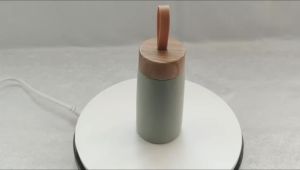 Bình Giữ Nhiệt Chân Không Thép Không Gỉ Hai Lớp 280ml Cốc Nước Gỗ Di Động Chai Nhỏ Gọn Dành Cho Phụ Nữ Ngoài Trời