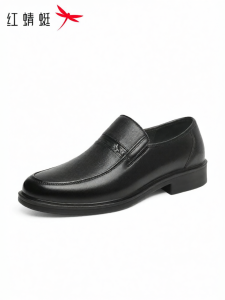Reddragonfly | Easy-on Comfortable Soft-soled Mens Casual Shoes