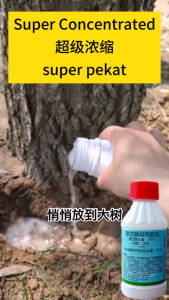 One drop rots tree roots Tree killer 200ml Concentrated formula Racun pokok kayu besar Glyphosate Kill big trees weeds bamboo Racun pokok paling kuat Racun rumput mati akar racun rumput paling kuat cepat mati 除草剂 Grass killer Weed killer