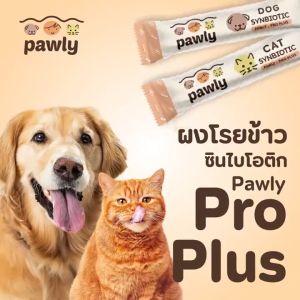 ผงพรีไบโอติกและโปรไบโอติกสำหรับหมา ทำให้เสริมภูมิคุ้มกันได้อย่างรวดเร็ว ผ่านการโปรไบโอติกในการปรับสมดุลทางเดินอาหาร