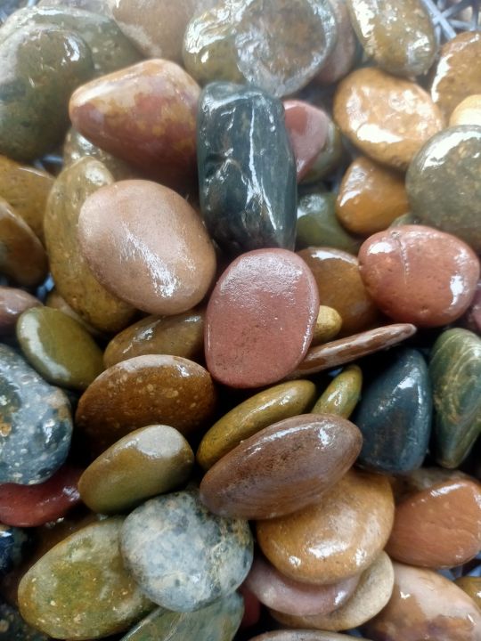 หินกรวดแม่น้ำโขง เบอร์ 4 สำหรับตกแต่งสวน