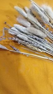 FREE ONGKIR / koko Bordir anak laki-laki / koko anak Zamrud / Koko anak laki laki