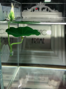 Artificial Plant Leaf Betta Fish Hammock Fish Rest Bed Tropical Aquarium Decoration