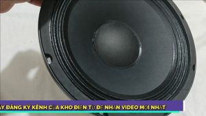 Loa bass 25 martin xương nhôm từ 158 gân vải tẩm dầu công suất lớn cao cấp giá 1 chiếc