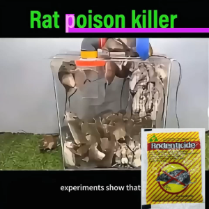 👍BUY 1 TAKE 9👍rat poison SuperConcentrated rat killer Mouse died outside Kill anentire nest lason sa daga Kills instantly after eating Mouse Repellent rat poison killer rat repellent for home rat poison for big rats