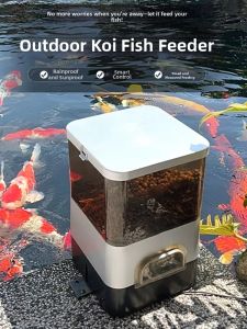 CHONGXIAOSHUAI | Automatic Solar Fish Feeder