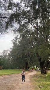 Velco Nutrition 7 Plant Protein โปรตีนพืช 7 ชนิด เพิ่ม Prebiotics คุมน้ำหนัก แคลต่ำ อร่อย คูมหิว เพิ่มกล้ามเนื้อ บำรุงขับถ่าย ชุดของ 10 ครัว