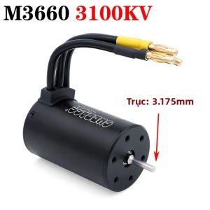 SURPASS HOBBY Động Cơ Không Chổi Than Cho Xe RC Chống Nước M2430/2435/2440/2838/2845/540/3650/3660 Tương Thích Với Các Mẫu 1/10 1/12 1/14 1/16 1/18