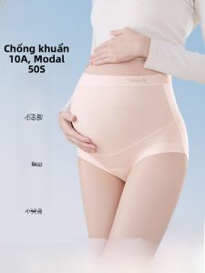 MiiOW | Quần lót cotton Modal cao cấp cho phụ nữ mang thai Quần lót kháng khuẩn cạp cao thoải mái cho giai đoạn đầu và giữa của thai kỳ