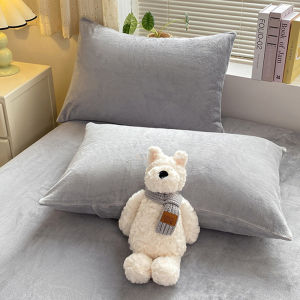 Thickened Milk Velvet Coral Fleece Pillowcases for Mens Dormitory Anti-Static Pillow Core Covers Dual Pack Winter Version