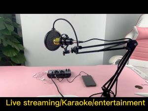 Siborie F999+BM800 sound card FULL SET Cantilever support paket lengkap for Streaming Media