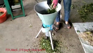 Báo giá máy băm rau bèo