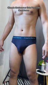 4Pcs Cacti Keno Stretch Cotton Briefs For Men Spandex Briefs Breathable plus size L-5XL High Quality Underwear For Men