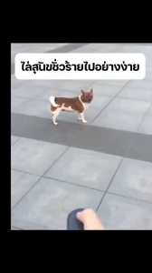 เครื่องไล่สุนัข อัลตราซาวนด์ 2 หัว [ของแท้ 100%] ไล่หมา-แมวทันที 1 วินาทีหยุดเห่า | เครื่องไล่ศัตรูหมาร้าย คลื่นเสียงพลังสูง ใช้ได้ทุกสถานการณ์ | Dog Repellent Ultrasonic