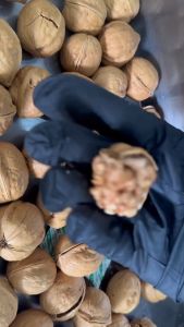 วอลนัทเปลือก อบกลิ่นวอลนัท อบสดใหม่ หอมอร่อย (ขนาด100g/200g/500g/1kg)