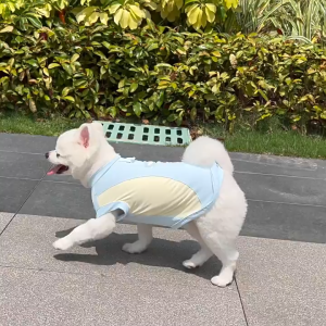 Áo liền quần cho Chó Mèo bằng vải thun lạnh 4 chiều kèm khoen móc dây dắt - Love pets shop