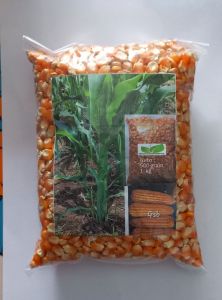 Bibit jagung hibrida sumo 1 kg