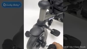 Lucky Baby Molti™ 4 In 1 Classic Tricycle - Grey/Black