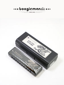 Blues Harmonica 10 Holes Beginner