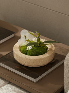 Artificial Bonsai Moss Landscape Bowl Desktop Decorative Flower Vase Meeting Table Decoration Green Moss Miniature Landscape