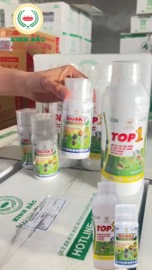 (Combo 2Top1+10Bigsky)-(Tặng 5Bigsky+2Domino+1 Siêu kích rễ)-Đặc trị côn trùng và nấm bệnh bảo vệ cây trồng toàn diện