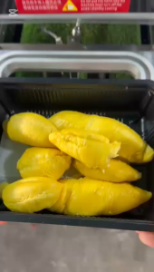 [The Best Durian] Genting Old Tree Mao Shan Wang (MSW) Durian